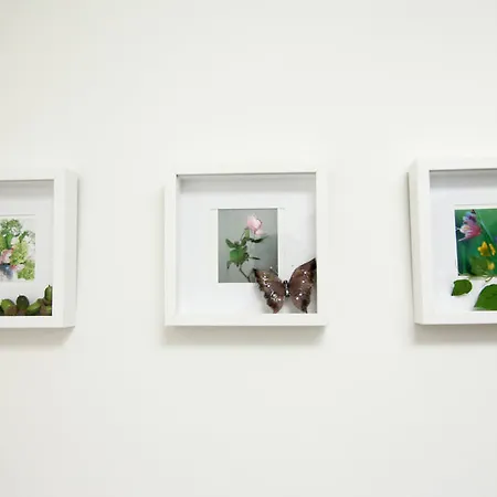 De Bedstee Boutique Capsules (adults Only) Hotel 3*