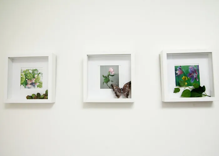 De Bedstee Boutique Capsules (adults Only) Szálloda 3*