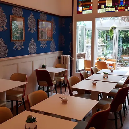 كبسولات دي بدستي البوتيكية فندق