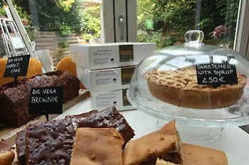 كبسولات دي بدستي البوتيكية